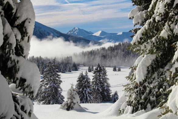 Le Flocon-Studio Cabine-Balcon 4-6 Pers A 100M Des Pistes Шамрус Екстериор снимка