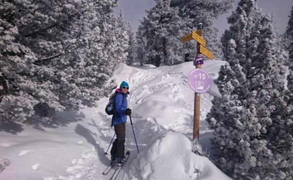 Le Flocon-Studio Cabine-Balcon 4-6 Pers A 100M Des Pistes Шамрус Екстериор снимка