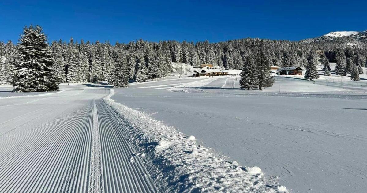 Le Flocon-Studio Cabine-Balcon 4-6 Pers A 100M Des Pistes Шамрус Екстериор снимка