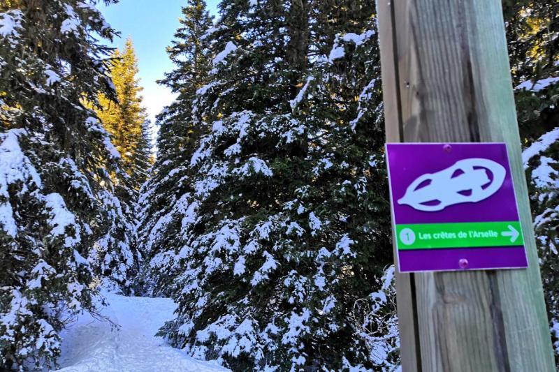 Le Flocon-Studio Cabine-Balcon 4-6 Pers A 100M Des Pistes Шамрус Екстериор снимка
